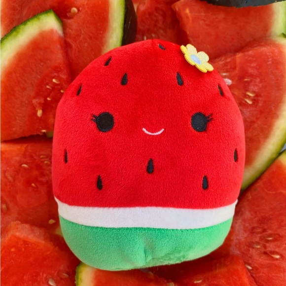 Squishmallows Other - Scented WaterMelon Squishmallow NWT Sold Out